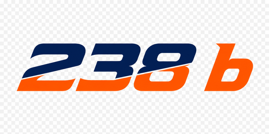 238 b Logo